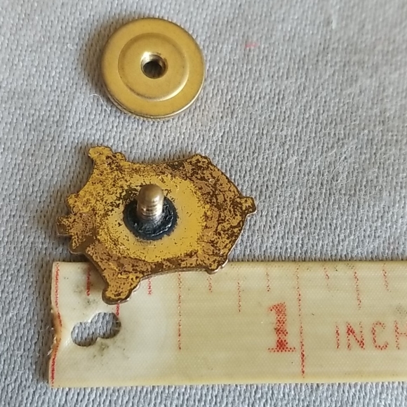 Religious ENAMEL CATHOLIC ORDER FORESTERS Vintage - Picture 3 of 3